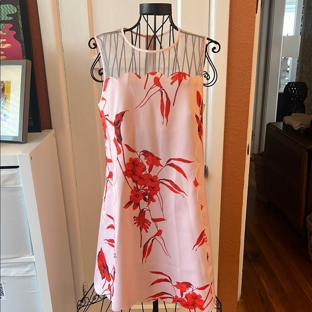 Ted Baker Jaazmin Fantasia-Print Mini Dress-Sz 2